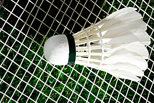 己孩子的亲 己孩子的亲